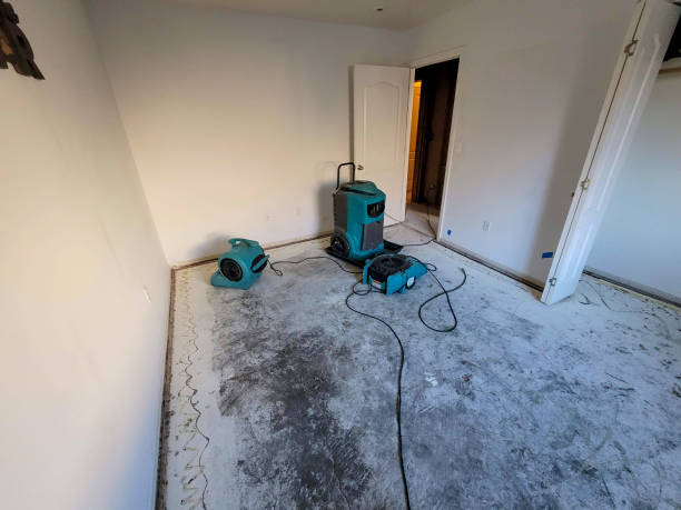 Best Professional water damage repair  in Marlene Village, OR