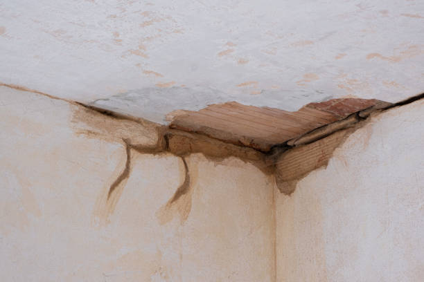 Best Flood restoration services  in Marlene Village, OR