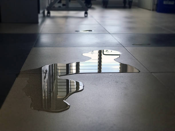Best Water damage restoration near me  in Marlene Village, OR