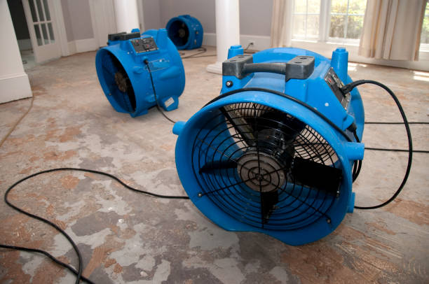 Best Flooded house restoration  in Marlene Village, OR