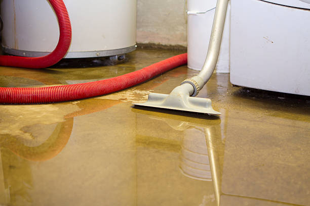 Best Ceiling water damage repair  in Marlene Village, OR