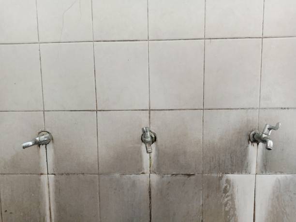 Water damage restoration mold remediation in Marlene Village, OR