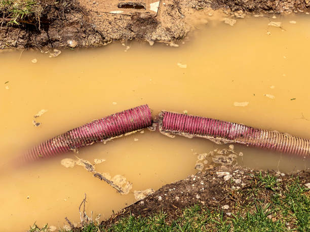 Best Carpet water damage restoration  in Marlene Village, OR