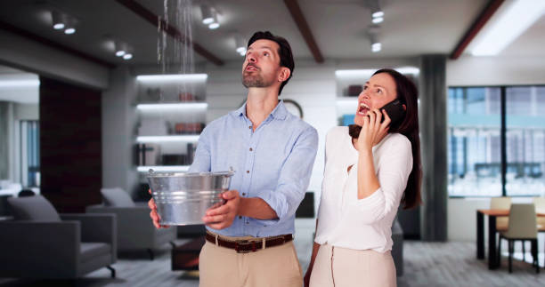 Carpet water damage restoration in Marlene Village, OR