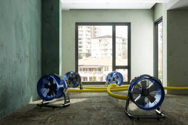 Best Commercial water damage restoration  in Marlene Village, OR