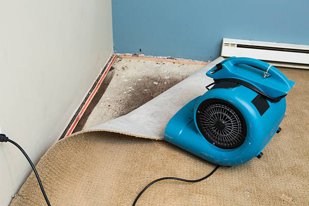 Best 24-hour water damage restoration  in Marlene Village, OR